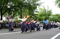 YOSAKOIソーラン祭り street YOSAKOIソーラン祭り street