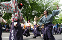 YOSAKOIソーラン祭り street YOSAKOIソーラン祭り street