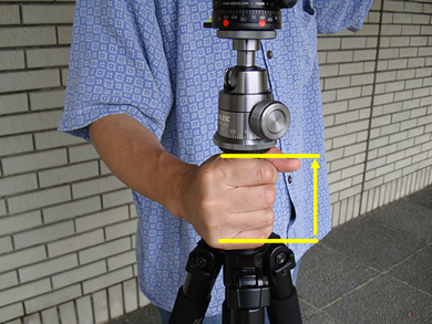 三脚のセンターポールを上げ高さ調整