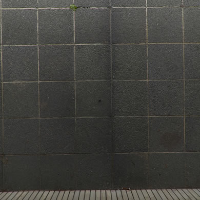 PhotoShopで処理した画像