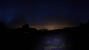ラベンダー畑からの夜景